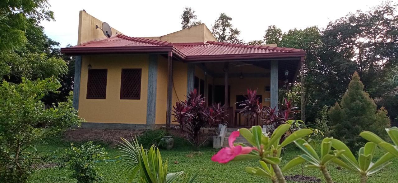 Villa De Lagoon View Tangalle Zewnętrze zdjęcie