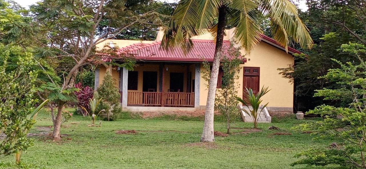 Villa De Lagoon View Tangalle Zewnętrze zdjęcie